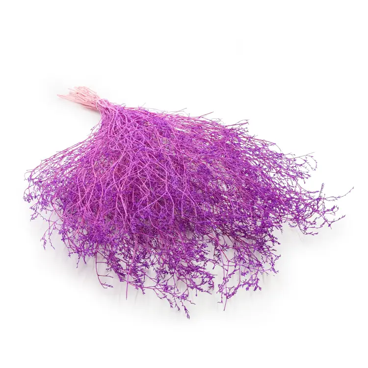 2deb791600cd58190e9fdf794a12cd3d