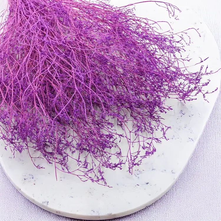 af5cf9b20cb919d8387f045ba1165306