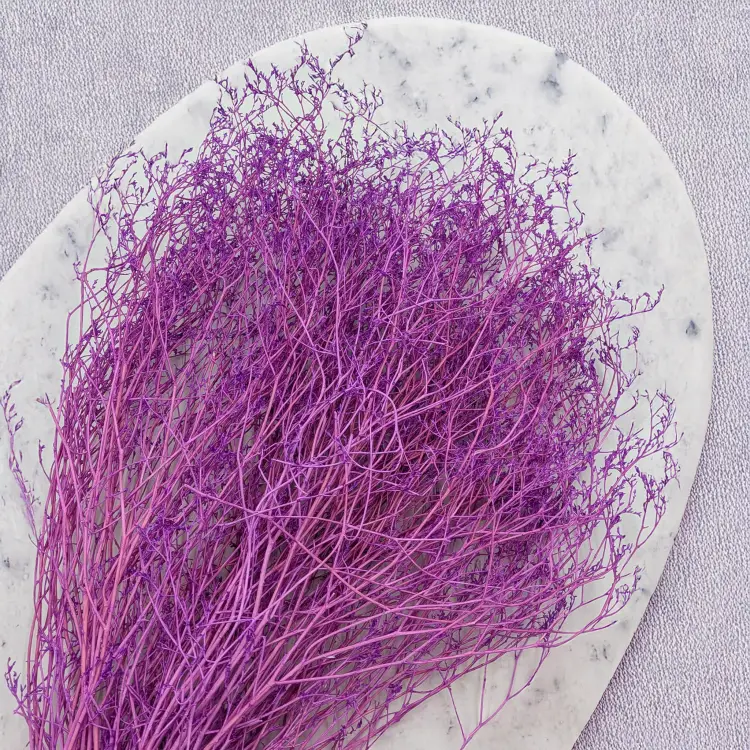 e9c0d2029fc364d5251d3deaa69af2e7