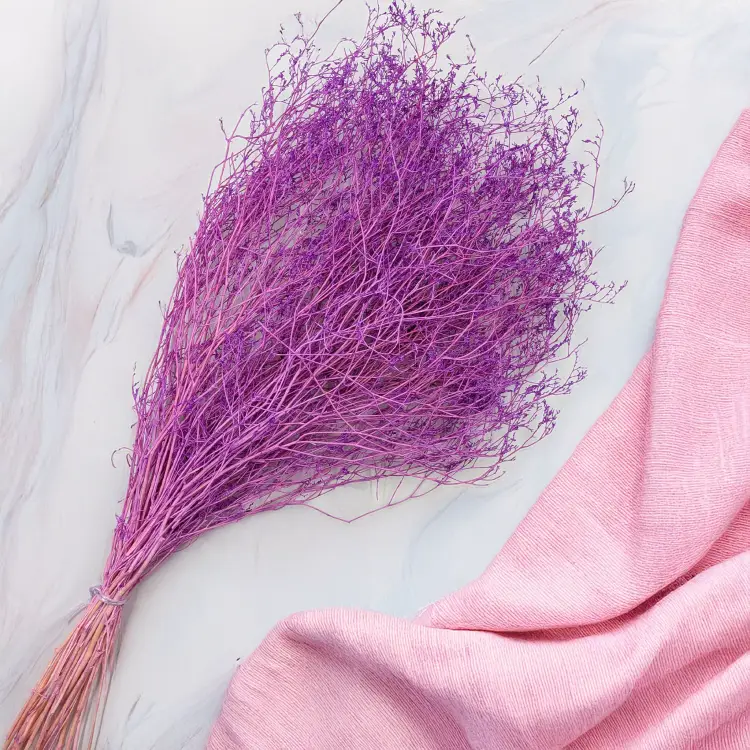 2d8d6638adc2fbb325f33cca91cfaa9d