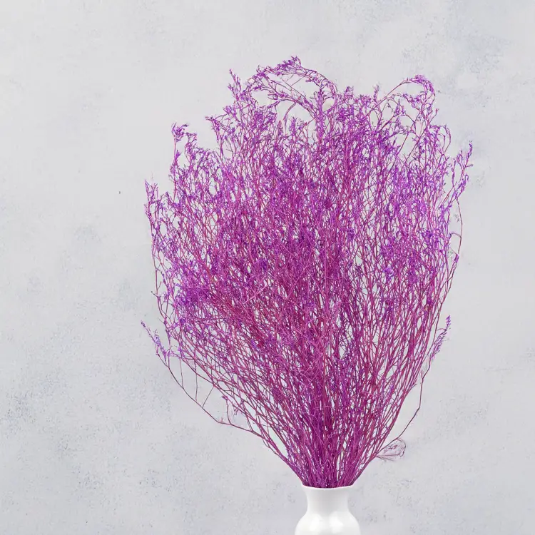 b01f8de3aac600a0198ee29c162f3537