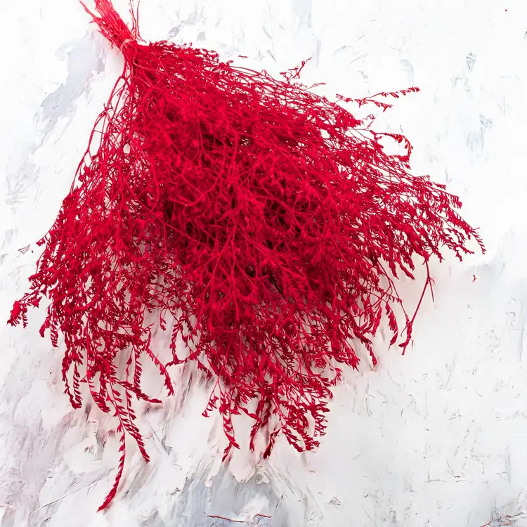 171bd0f584b9363f95bce69feec1458a