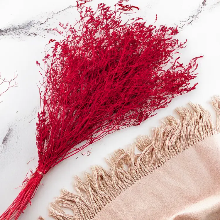 37b7b14f01fe72516137bc3a6b10a74e