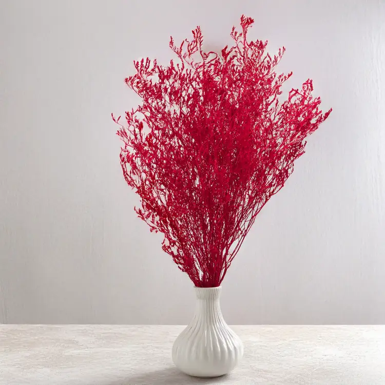 ece7f023c16a841faa71170032be630c