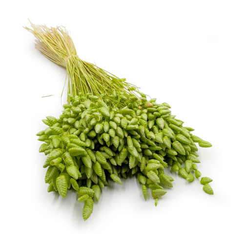 ffe931639b042c23f2a65cba8cb5b361