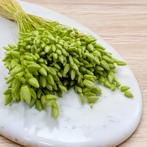 b1edc071374da81a3097b630b8c16c3a