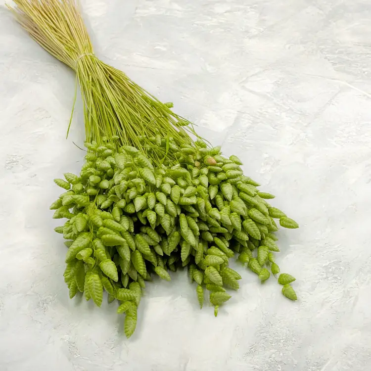 6223af35605b63e227b66326954b1525