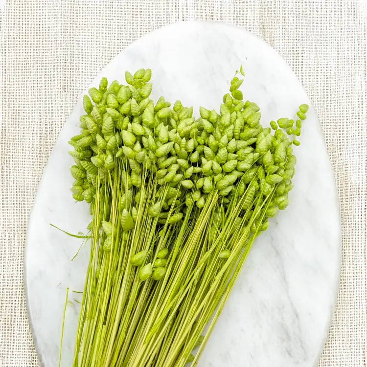 de260b574001a71b9b0048ac36b1cc7c