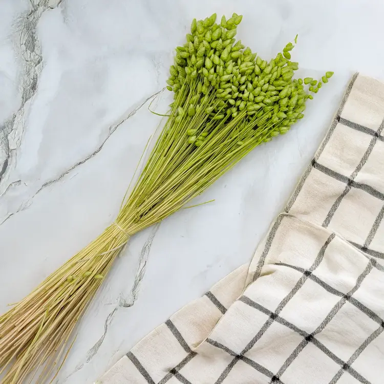 092983cf1893768c1c258c34162ca6a3