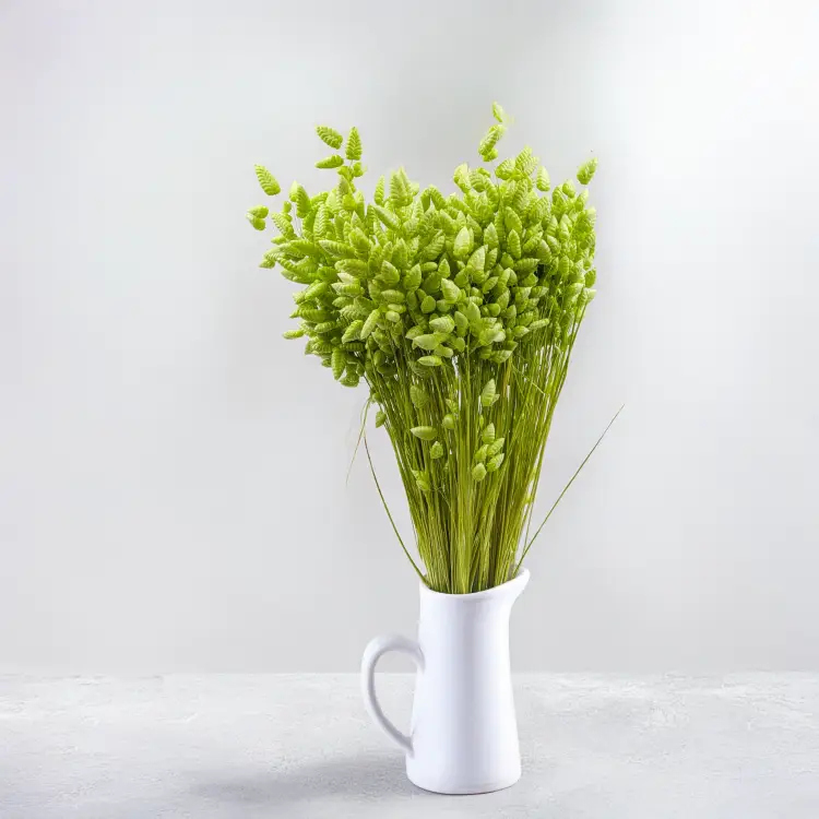 eca75c0e8934b9f2e059da8ffea3a937