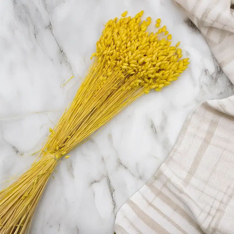 4717cb13e43baecd2dab73c02f5e8bce