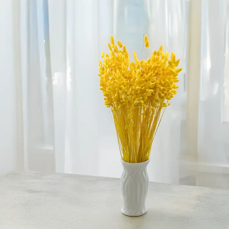 666350880061d6f78d73dbbafe3c9920