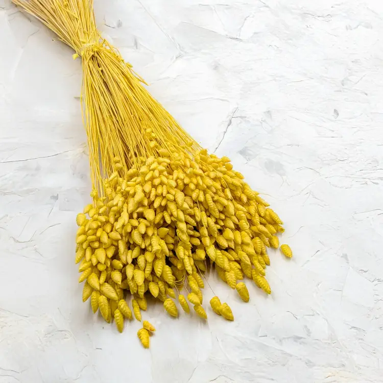 d0945617cf49932f01974d3fe45e0bf3