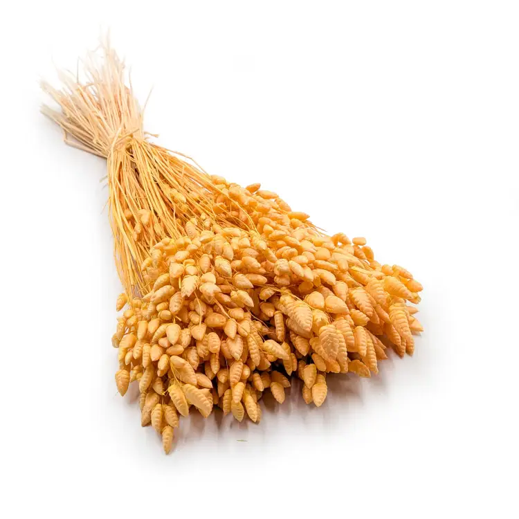 cb0dfad9f1ca97c88e42c37d5b4a0964