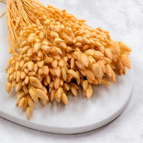 bea77c5f061610219afe0c905c4379e1