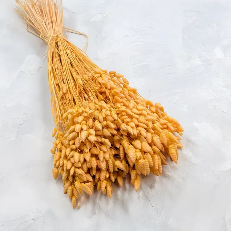 148f6cd8df72f41ed2da14e2142be018