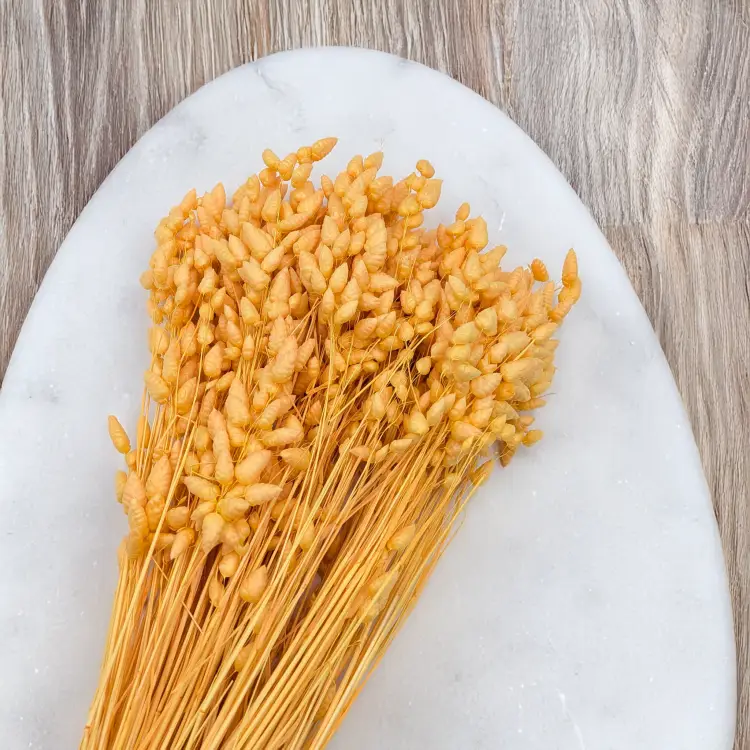 88537202ab817323865592bf9fa236c7