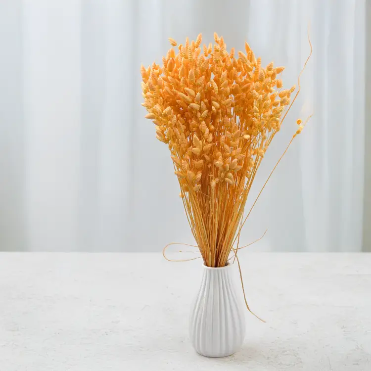 86f0729edb6c2abc46137ae6393d729d