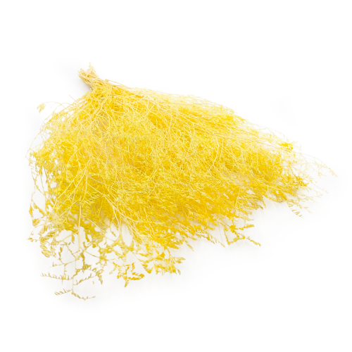 0e87e29fb13adeca9e3efb6bd2012f85