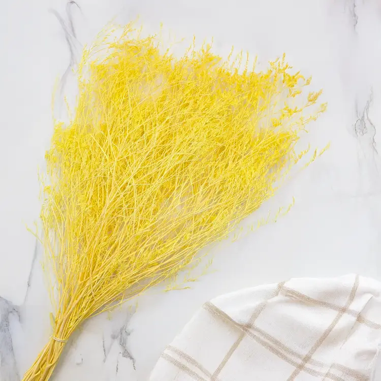 22cd947a52a0dd66ac4925c5c10b565a