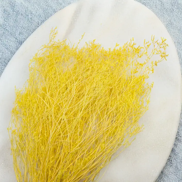 ee8e3a76653bcb342f10f4bcc41b8bd8