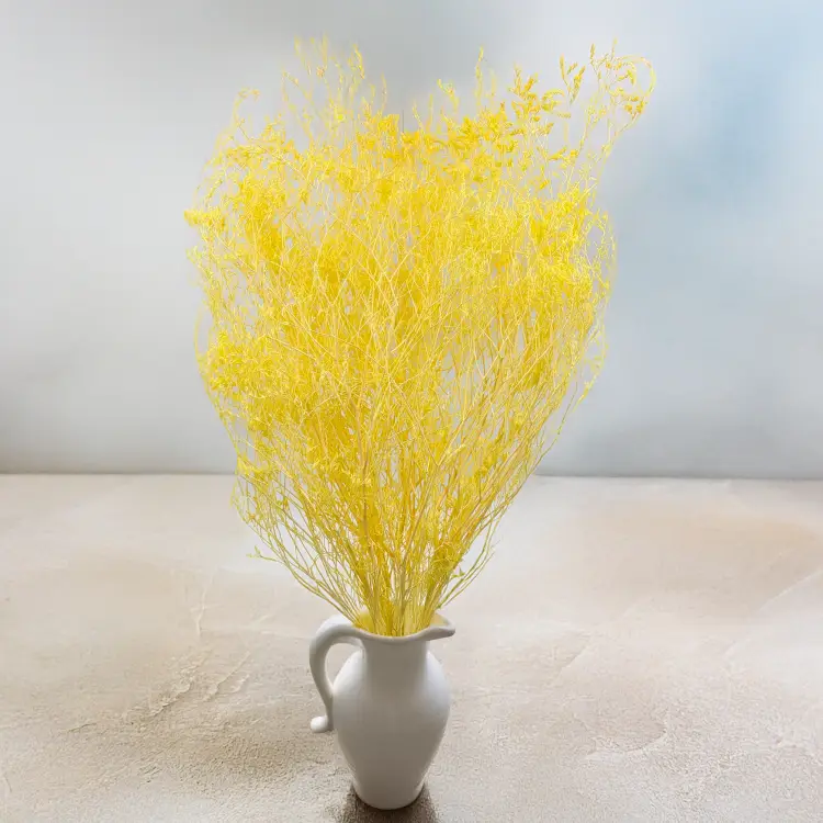 ed86899d36c7c4fd74f4fa9e3433b3e7