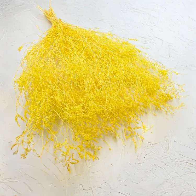 45a3676c40f2f2154da1fd09152b54df