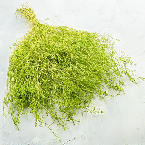 7b7d33d7fef81aa83e4a64d34c6cb66c