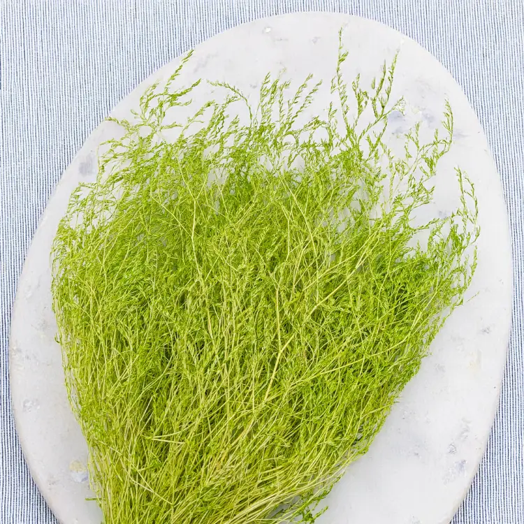 5fc1b283188f3cfea8051012e2e178b7