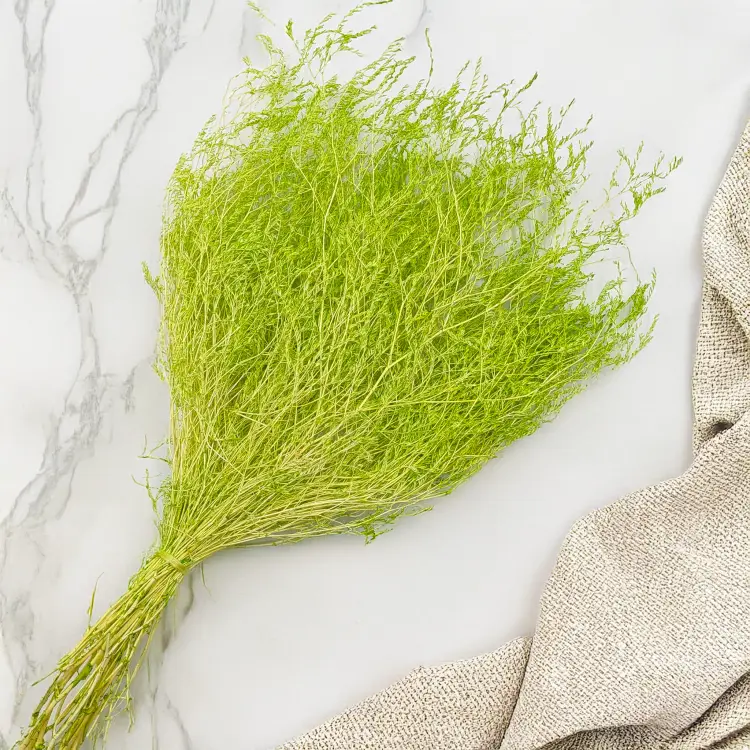 0de19cafcdc2f863ad1bc17d420e9845