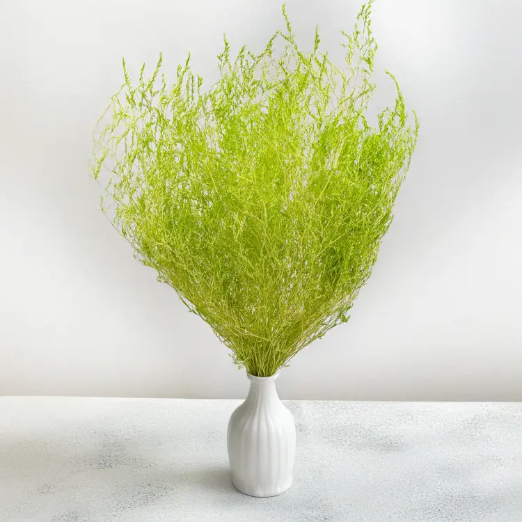 31f81854a4889b1a059acb9dce13858a