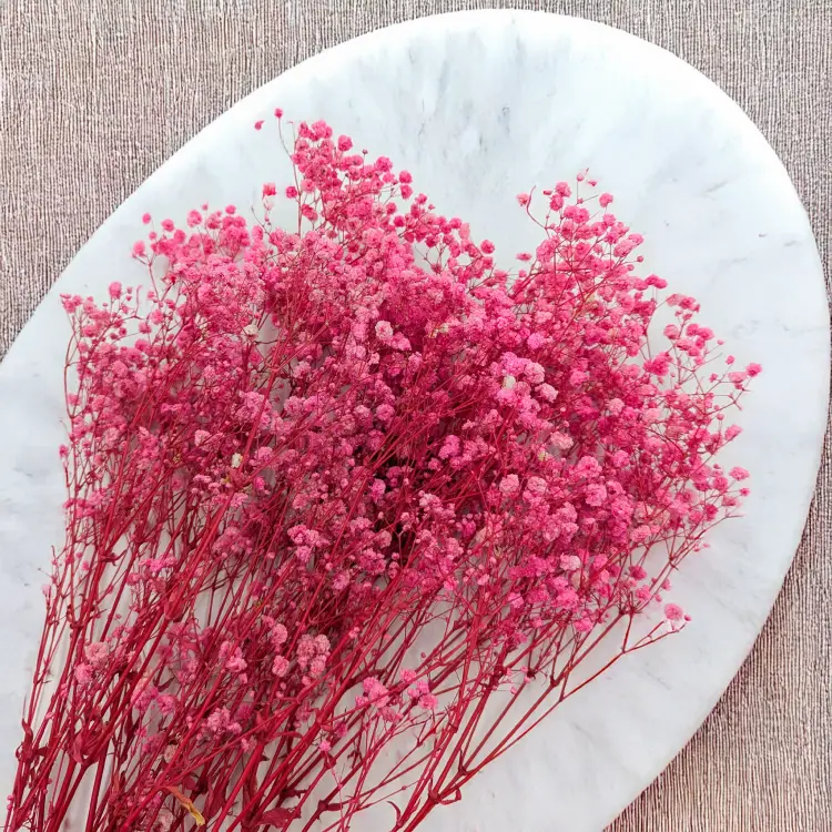 e4febbda35665ab71a7af6ee1bec6f14