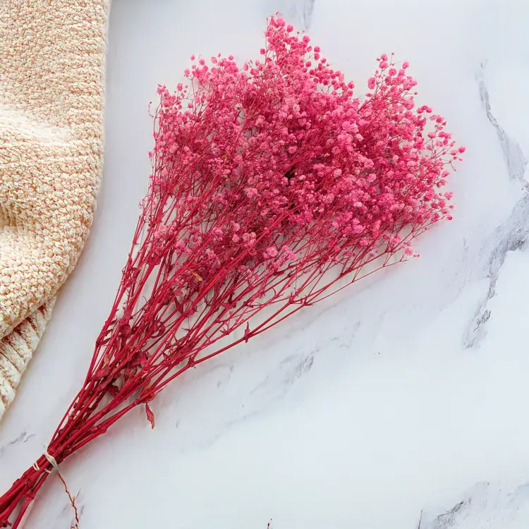 95fb231d316b63cb5e3a0f314a4f3001