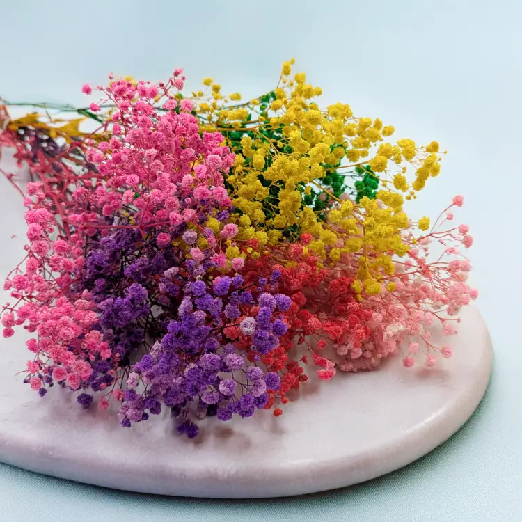 251075cfedc58be074aaa9e3b73017fa