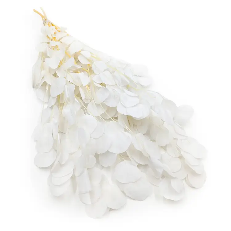 f4bec20cc81c3c701439e90ae9302298