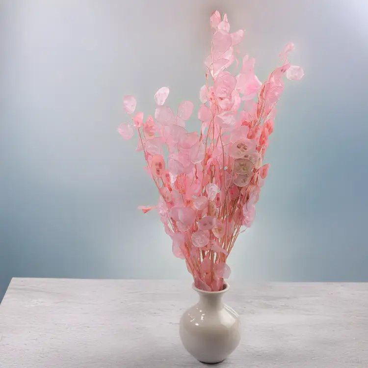 d386726bf7c099528d222cba69cf1b3c