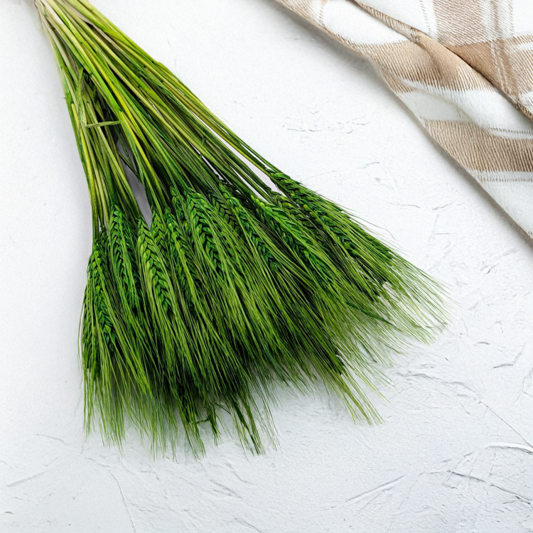 ba36fde22bfd3b46983c0eab38c58ade