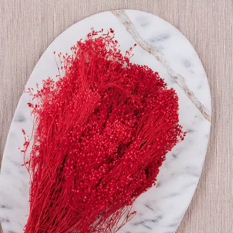 21193a1a008d1772e00056ed4641634a