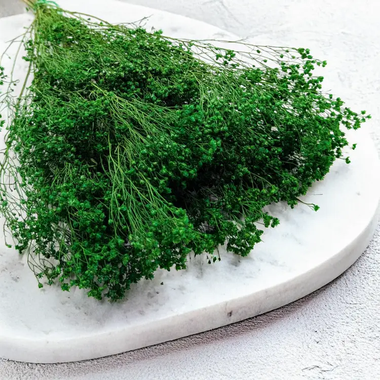 fa184f138536bacd84e62c39776ddcfe