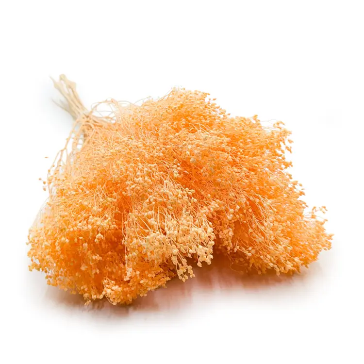 76a04f6eae1c42f2e11d9378de16d627