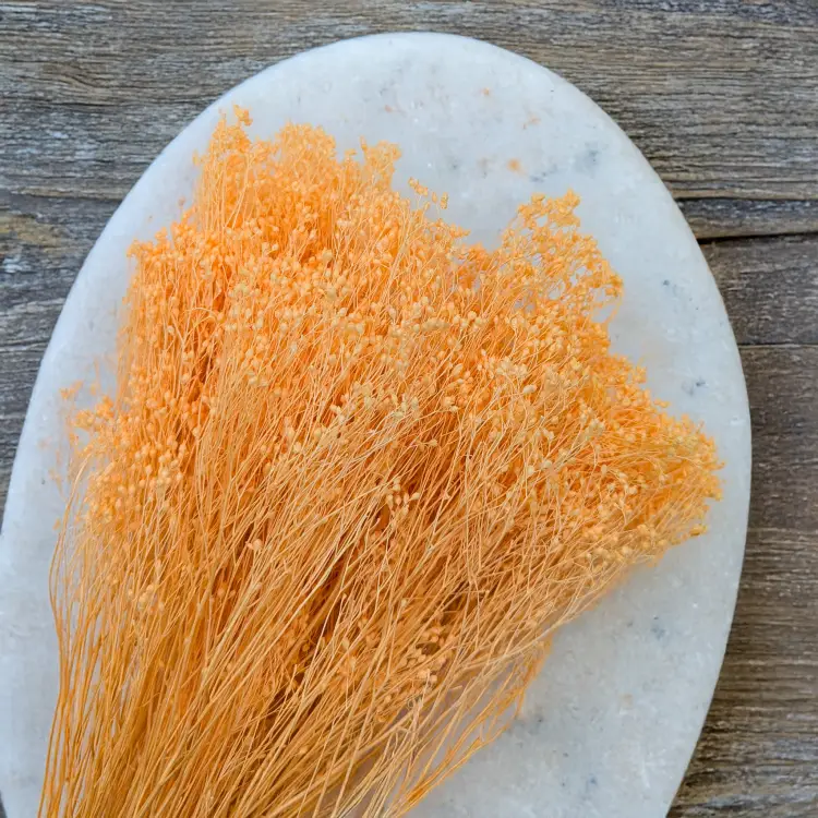 63a15a5613efa05fd4e35ea3574cf8d2