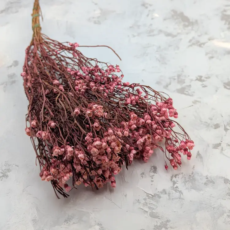 428a7d259c0f2f6a20ab31afdda98862