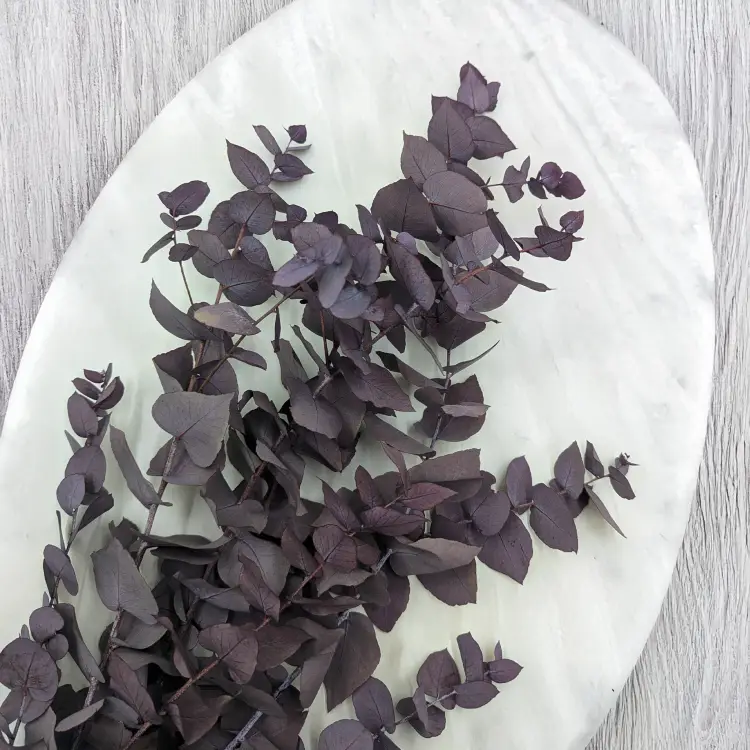 66262f45e009048706ca924ccffaf55f