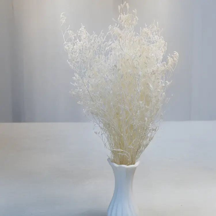 9a1669712fb180b49603430b0fe95eaa