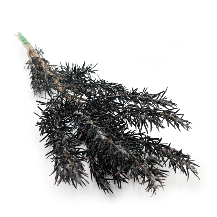 d3c2fae9b89260e5821a4fb029cabab7