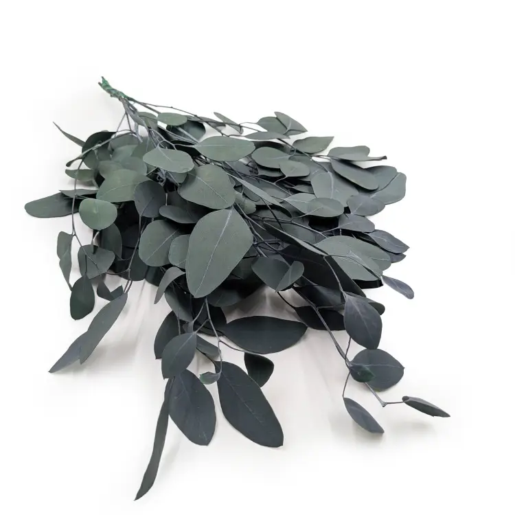 b84518a85e114e943ae595945b45c76b