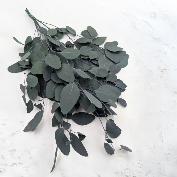 769f3f8a58475cf5e4dc88401ee5cb02