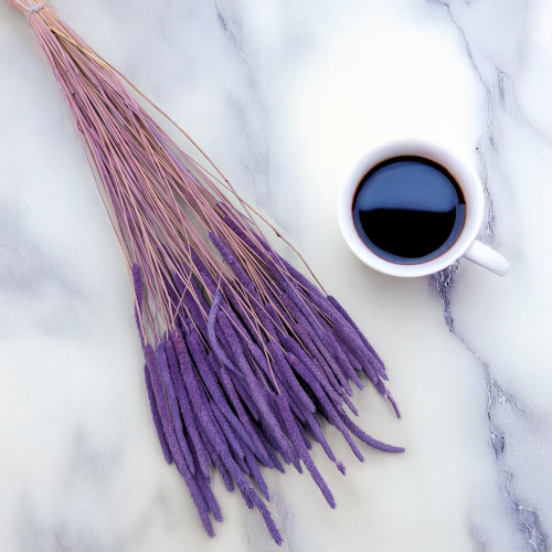 65827e2e434f8b67d2789c9dcb36321e