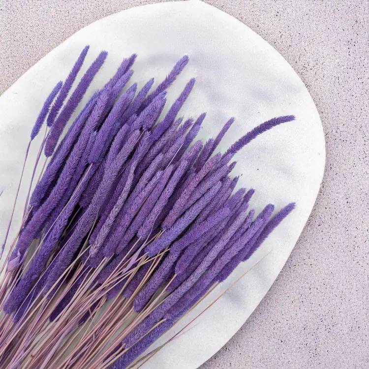 b8533b3f4f52148763c47cf304e26339