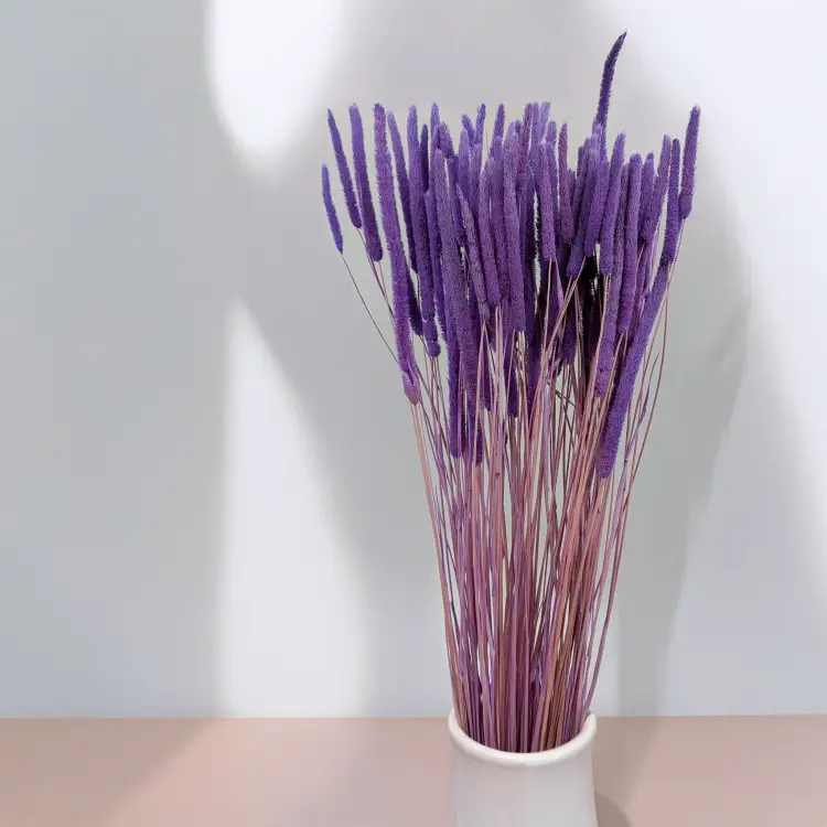 3e783116a4b90b263646364d2ca96b85